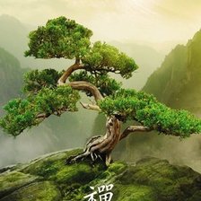 Схема вышивки «№154135»