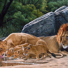 Схема вышивки «№154317»