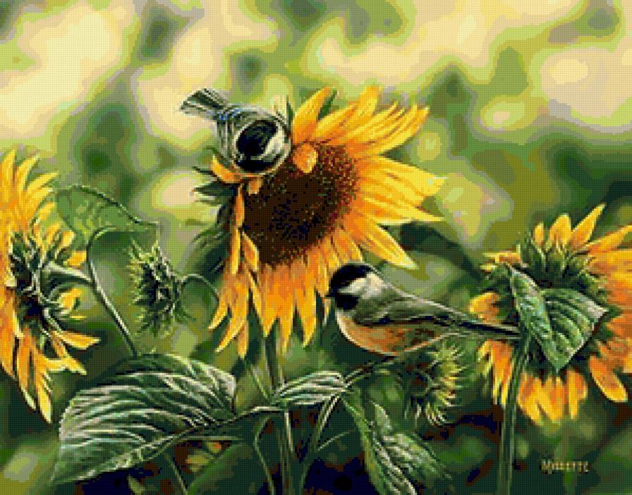 Синички и подсолнух - подсолнухи, птицы, птички, природа, подсолнух, синички, цветы - предпросмотр