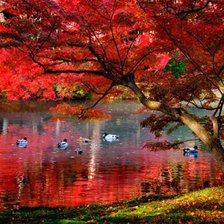 Схема вышивки «озеро»