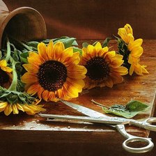 Схема вышивки «Подсолнухи»