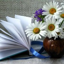 Схема вышивки «Ромашки»