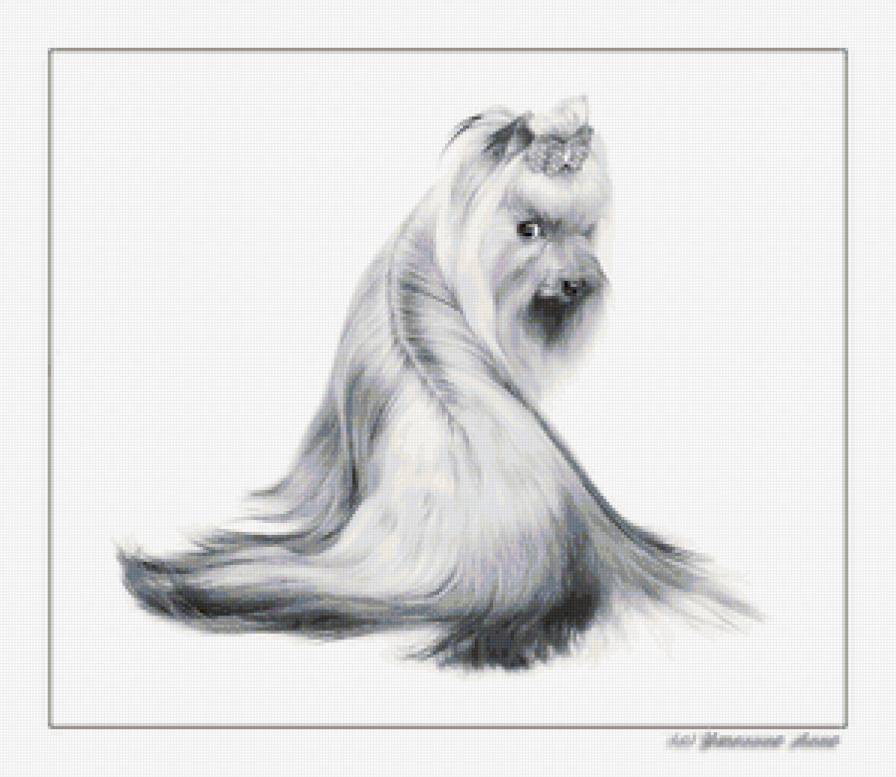 йорк - предпросмотр