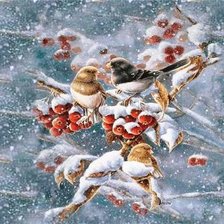 Схема вышивки «Птички на ветке рябины»