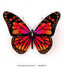 Схема вышивки «Бабочка»