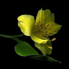 Схема вышивки «№154873»