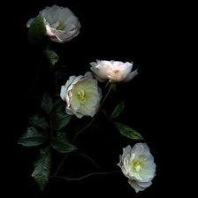 Схема вышивки «№154881»