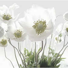 Схема вышивки «№154889»