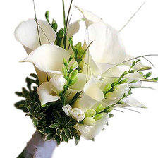 Схема вышивки «Каллы»