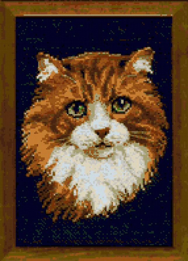 Рыжик кот - животные, кошки - предпросмотр