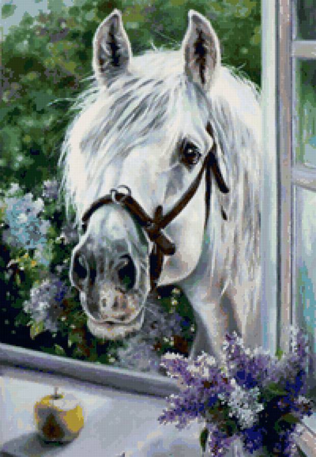 лошадка - окно, лошадь - предпросмотр