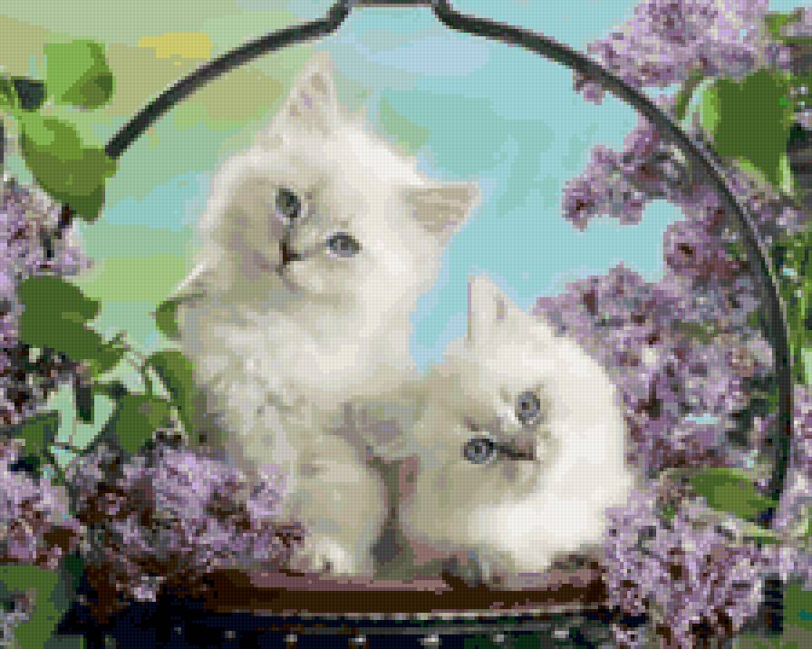 киски - кошки, цветы - предпросмотр