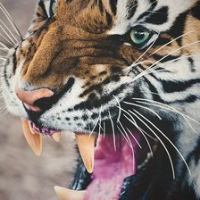 Схема вышивки «*»