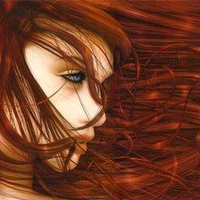 Схема вышивки «рыжая»