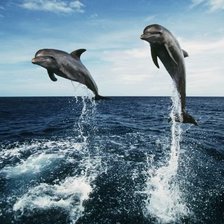 Схема вышивки «дельфины»