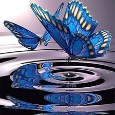 Схема вышивки «Бабочки»