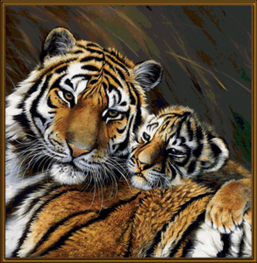 тигры№ 2 - животные, кошки - предпросмотр