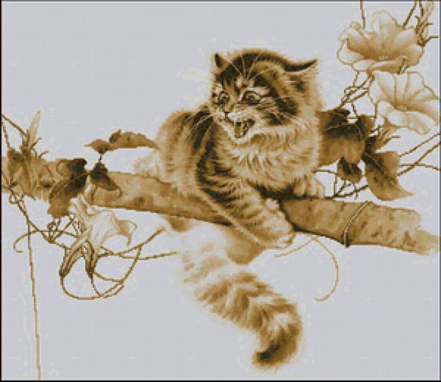 хищник - котенок - предпросмотр