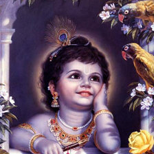little krishna