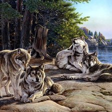 Схема вышивки «№155772»