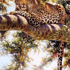 Схема вышивки «№155950»