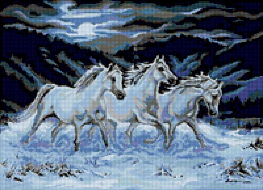 коне в ноща - предпросмотр