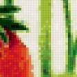 Предпросмотр схемы вышивки «земляника» (№156043)