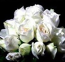 Схема вышивки «роза»