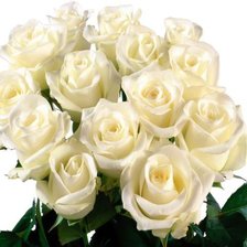 Схема вышивки «роза»