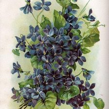 Схема вышивки «букетик»