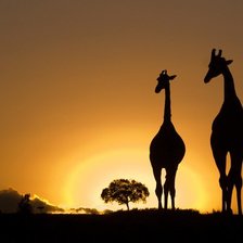 Схема вышивки «№156170»