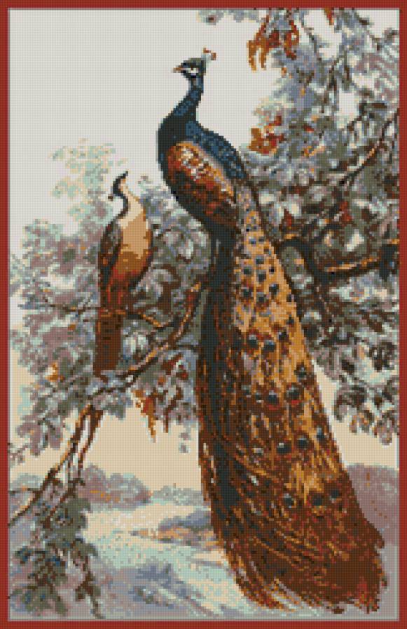 павлин на ветке - предпросмотр