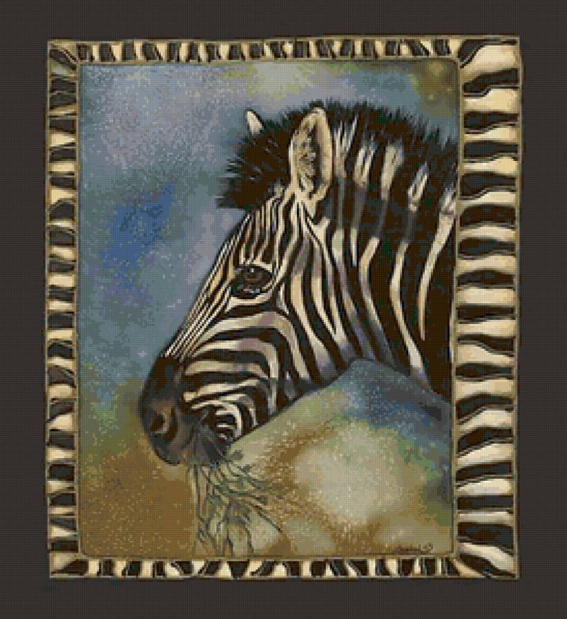 зебра - зебра - предпросмотр