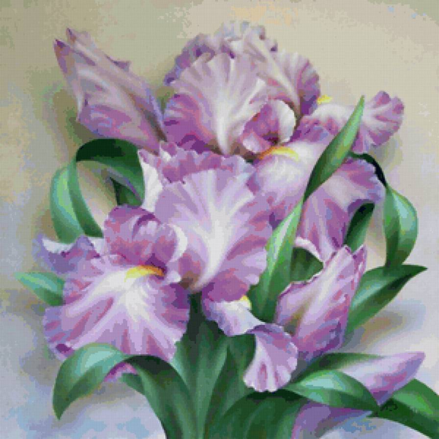 Серия "Букет" - цветы, ирисы, букет - предпросмотр