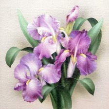 Схема вышивки «Серия "Букет"»