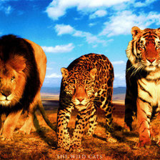 Схема вышивки «Цари зверей»