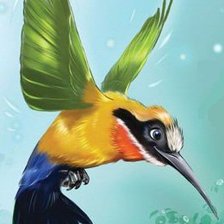 Схема вышивки «Колибри»