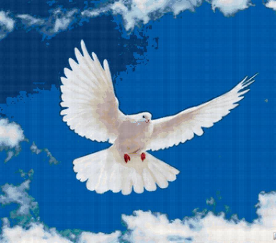 Голубь в полете - небо, голубь, птица, подушка - предпросмотр
