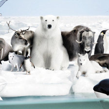 Схема вышивки «frozen-planet»
