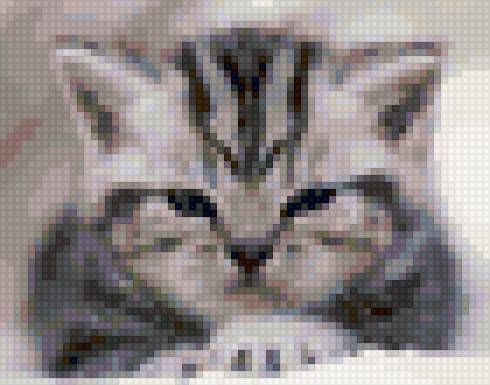 котик - предпросмотр