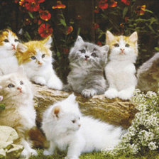 Схема вышивки «Котята»