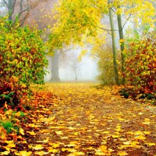 Схема вышивки «№156617»