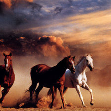 Схема вышивки «Бегущие лошади»