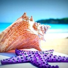 Схема вышивки «ракушка»