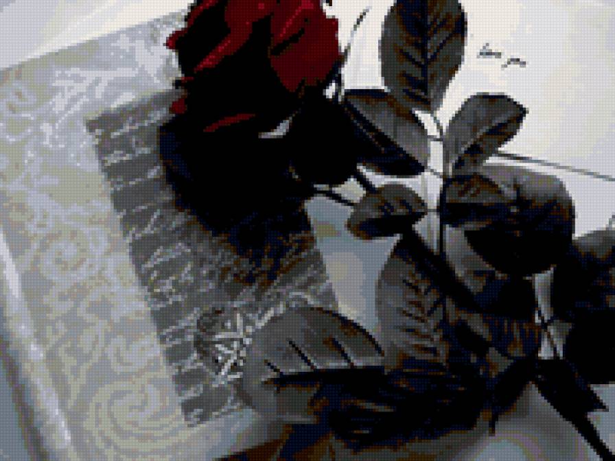 Роза и книга - предпросмотр