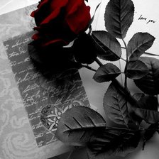 Схема вышивки «Роза и книга»