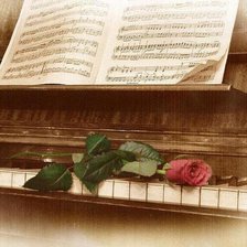 Схема вышивки «roza»