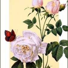 Схема вышивки «№157184»