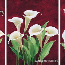 Схема вышивки «Триптих Каллы»