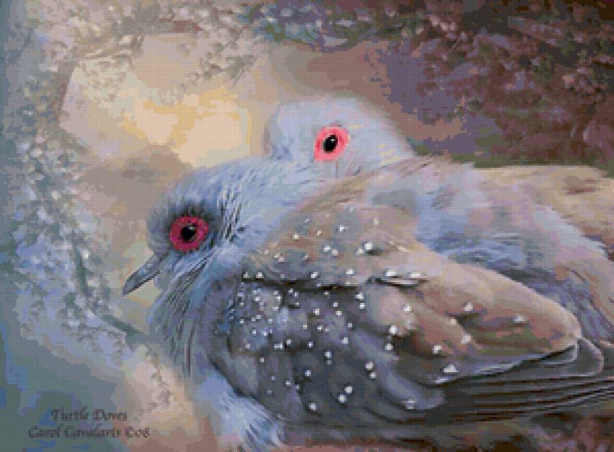 birds - предпросмотр